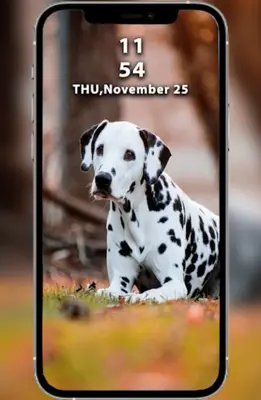 Dogs Wallpapers android App screenshot 0