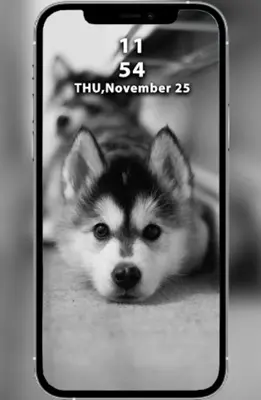 Dogs Wallpapers android App screenshot 1