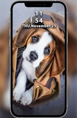 Dogs Wallpapers android App screenshot 2