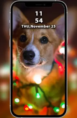 Dogs Wallpapers android App screenshot 3