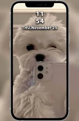 Dogs Wallpapers android App screenshot 5