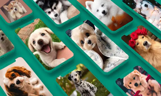 Dogs Wallpapers android App screenshot 6